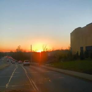 Meet your Posher, Hazel